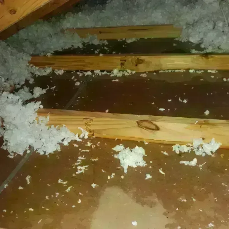 Attic Water Damage in Spring Lake, MI