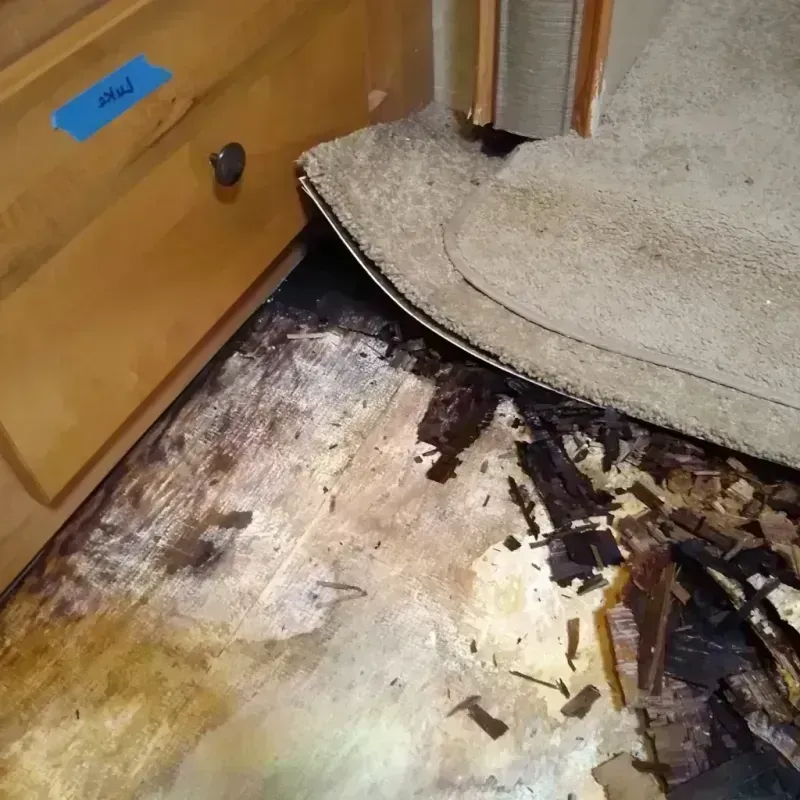 Wood Floor Water Damage in Spring Lake, MI